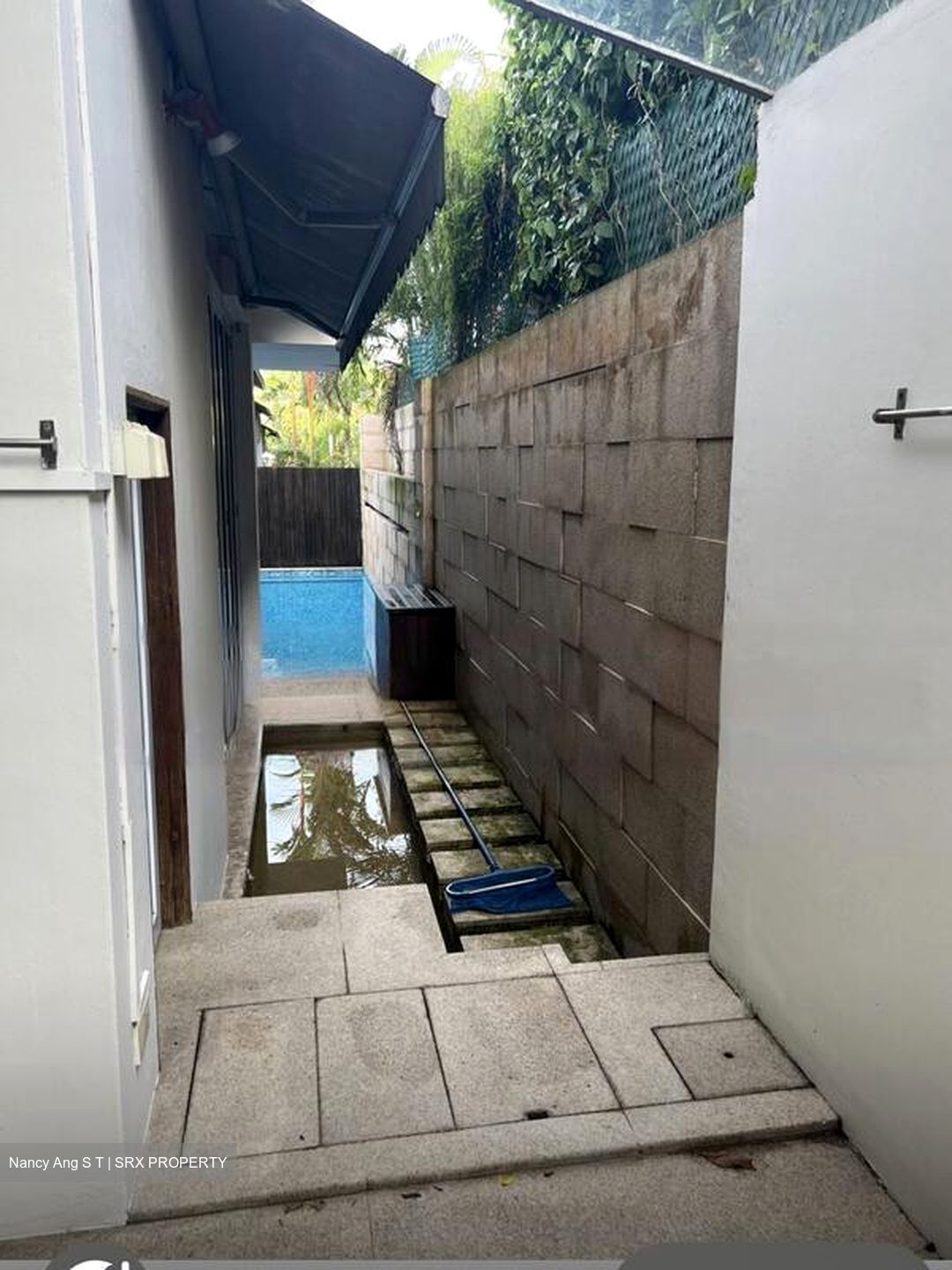 Shamrock Park (D10), Detached #477262891